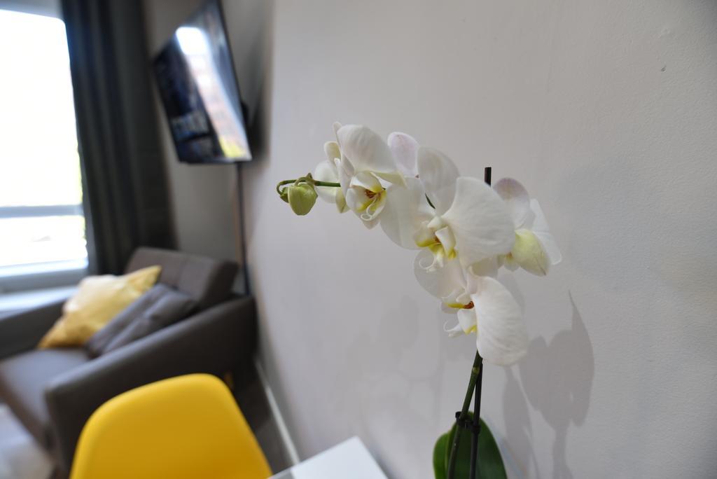 Meadowbank House Luxury Apartment إدنبرة المظهر الخارجي الصورة